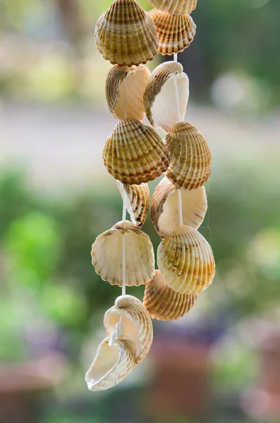 Seashells Hanging String Blurred Outdoors Green Background — Stock Photo, Image