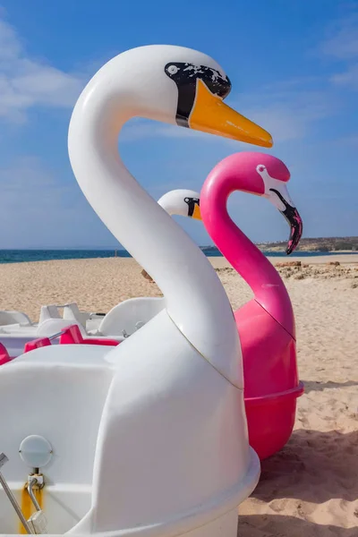 白鳥の形をしたペダルボートの詳細はビーチに駐車 — ストック写真