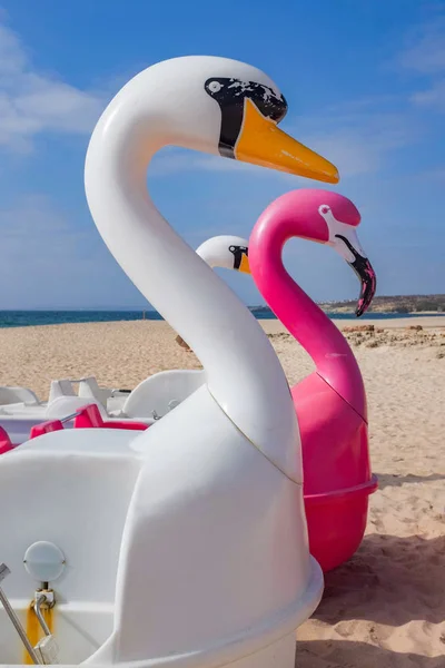 Detalle Botes Pedal Con Forma Cisne Aparcados Una Playa Fotos de stock