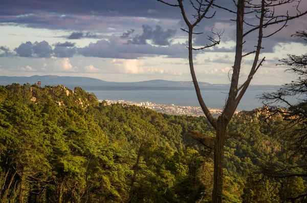 卡斯卡伊斯镇和大西洋景观从森林在辛特拉山 — 图库照片