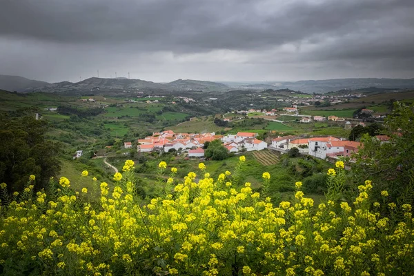 美丽而鲜花盛开的乡村 在多云的春日 远处有一个小村庄 — 图库照片