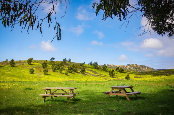 Tavoli da picnic — Foto Stock