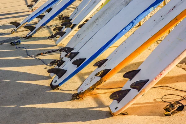 Tavole da surf — Foto Stock