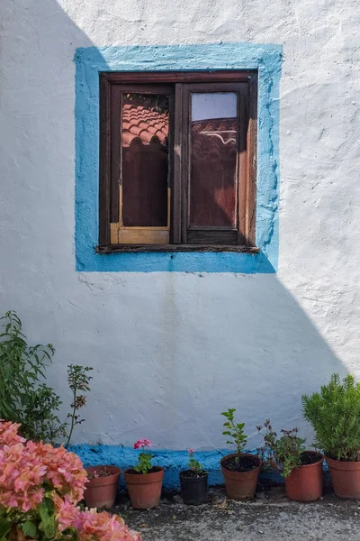 Fenster und Vasen Stockbild