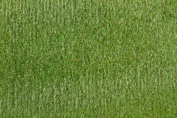 A synthetic grass texture