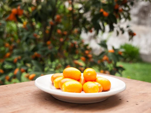Finom Természetes Narancs Kumquats — Stock Fotó