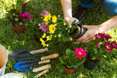 Bahçede bitkilerle çalışan bir kadın.