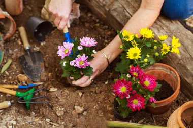 Bahçede bitkilerle çalışan bir kadın.