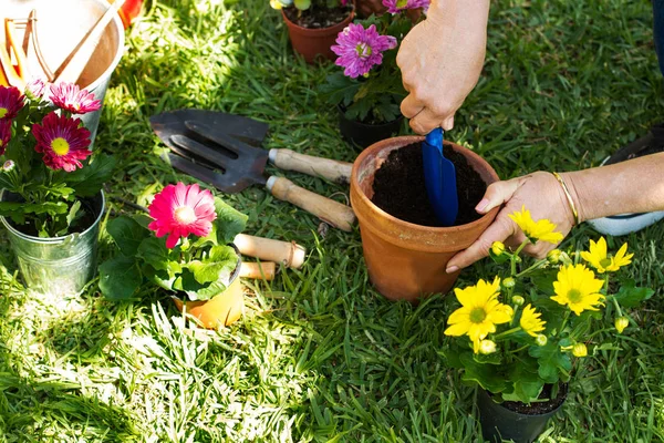Bahçede bitkilerle çalışan bir kadın.