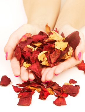 Elinde kuru gül yaprakları olan kadın