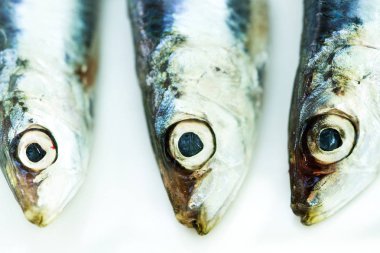 Maydanoz lu bir tabakta sardalya