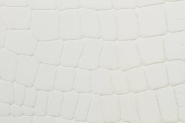 Yakından görünümde sürüngen dokusuna sahip beyaz deri kumaş