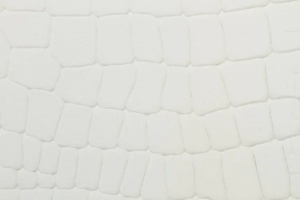 White Leather Cloth Reptile Texture Close View — Stock Photo, Image