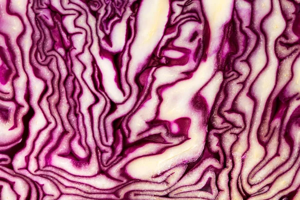 Red Cabbage Close View — Stock Photo, Image