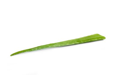 Beyaz arkaplanda izole edilmiş yeşil bir aloe vera yaprağı.