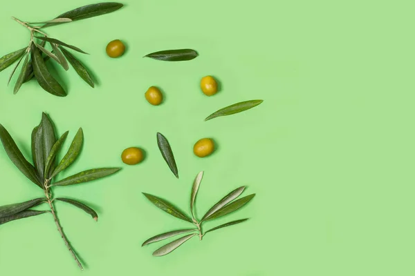 Five olives and olive leaves on a green background in a top view