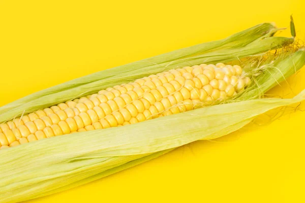 Sárga Kukorica Sárga Alapon Közelről — Stock Fotó