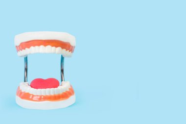 Dişleri ve dili açık mavi arkaplanda kopya alanı olan plastik bir oyuncak ağız.