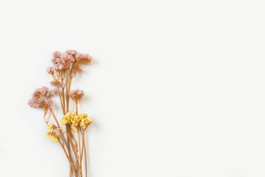 Kuru dallar ve çiçekler kopyalama alanı olan beyaz bir arkaplanda izole edilmiş