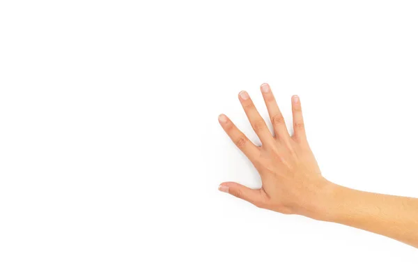Kadın Elinin Arkasını Fotokopi Alanı Olan Beyaz Bir Arkaplanda Gösteriyor — Stok fotoğraf