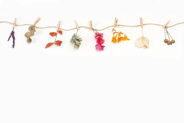 Сухие Цветы Листья Висят Нитке Белом Фоне Копировальным Пространством — стоковое фото