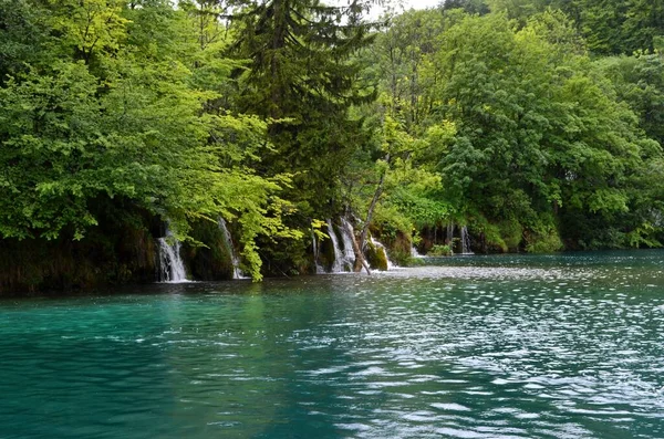 Mini Waterfalls Fall Turquoise Surface Forest Lake Plitvice — Stock Photo, Image