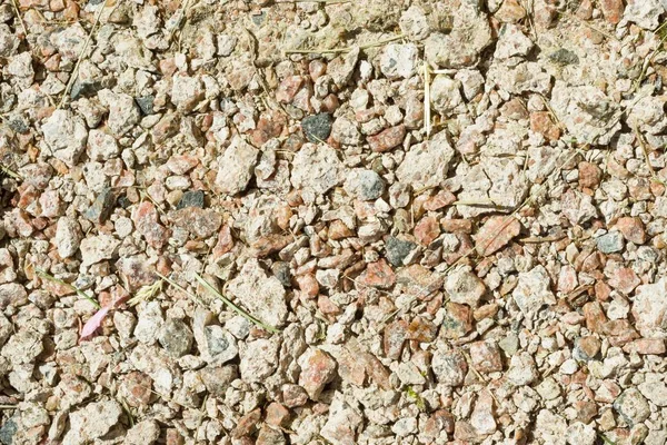 Texture Background Many Small Gray Stones — Stock Photo, Image