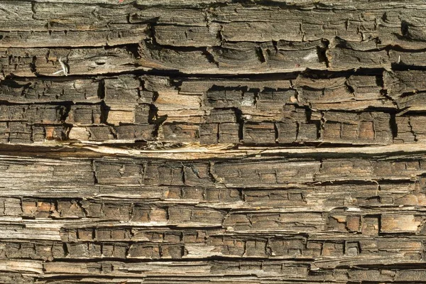 Old Wood Texture Natural Patterns Cracked Color Background — Stock Photo, Image