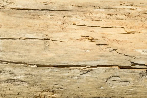 Oude Houtstructuur Met Natuurlijke Patronen Met Gebarsten Kleur Achtergrond — Stockfoto