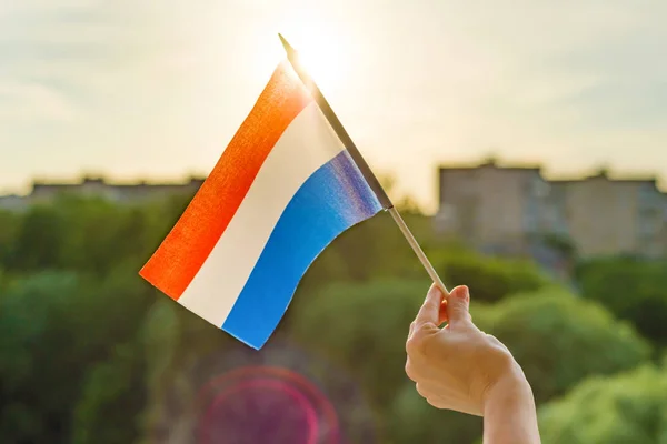 Ruka Drží Vlajky Nizozemsko Otevřené Okno Pozadí Modré Oblohy Silueta — Stock fotografie