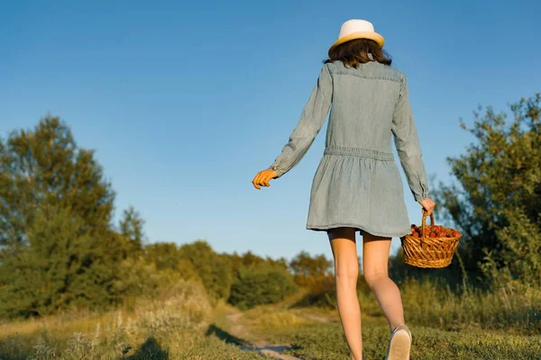 Outdoor summer portrait of teen girl with basket strawberries, straw hat. Girl on country road, back view. Nature background, rural landscape, green meadow, country style — Stock Photo, Image