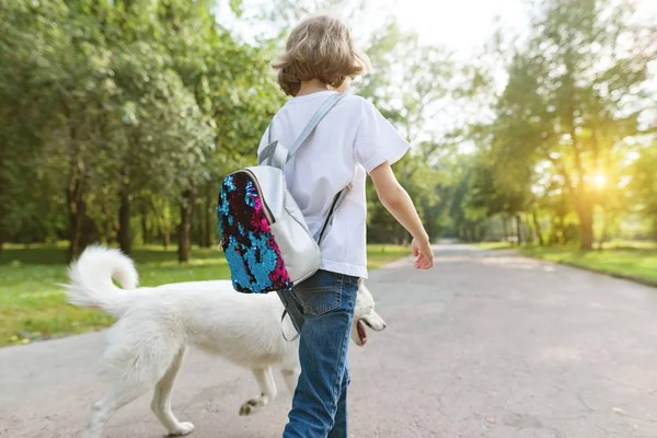 A kislány egy fehér husky kutya séta lefelé az úton, a parkban. — Stock Fotó