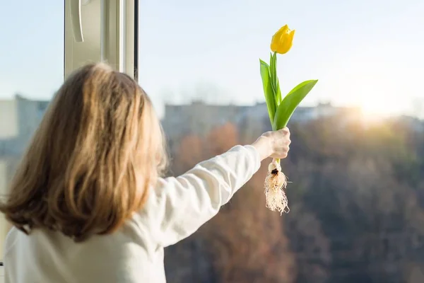 Child girl back near an open window with yellow tulip flower, sunny spring day — Stock Photo, Image