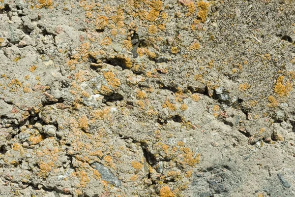 Grey getextureerde concrete cement muur close-up achtergrond — Stockfoto