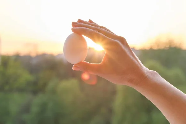 El bir beyaz yumurta tutan, kavramsal fotoğraf arka plan günbatımı altın saat — Stok fotoğraf