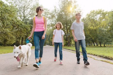 Beyaz husky köpek, park yol arka plan ile yürüyen çocuk grubu.