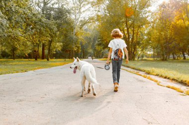 Çocuk genç erkek ve kız parkta beyaz bir köpek husky, yolda yürürken arkadan görünüm