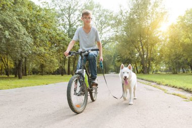Parkta bisiklet üzerinde beyaz husky köpek ile Çocuk