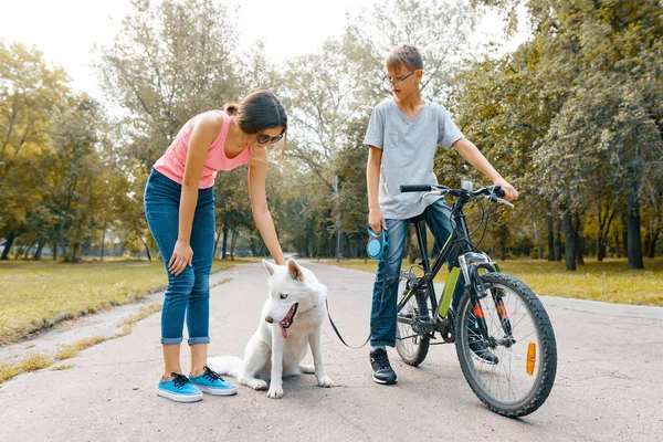 Enfants adolescents sur la route dans le parc avec le chien blanc Husky — Photo