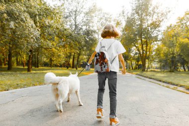 Parkta yolda beyaz bir köpek Husky ile yürüyen kız çocuk, arka görünümü