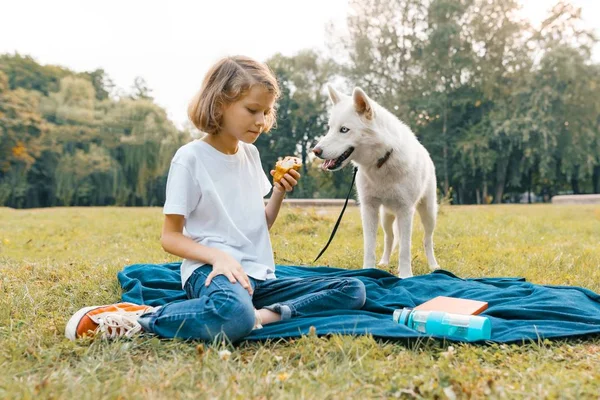 Fille enfant avec un chien blanc Husky assis sur la pelouse dans le parc, mangeant un croissant, chien regarde le croissant avec un appétit — Photo