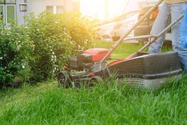 Çim biçme makinesi yeşil çim kesme, çim biçme makinesi çalışma ile bahçıvan