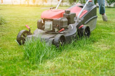 Çim biçme makinesi yeşil çim kesme, çim biçme makinesi çalışma ile bahçıvan