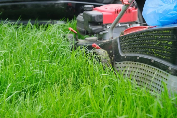 Pemotong rumput Lawn memotong rumput hijau, tukang kebun dengan mesin pemotong rumput bekerja — Stok Foto