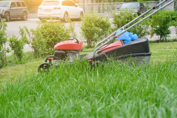 Çim biçme makinesi yeşil çim kesme, çim biçme makinesi çalışma ile bahçıvan