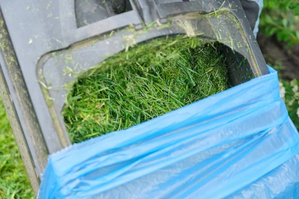 Menutup rumput segar yang dipotong di pemotong rumput — Stok Foto