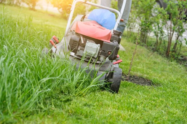 Lawn mower cutting green grass, gardener with lawnmower working — Stock Photo, Image