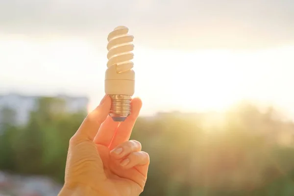 Energy saving fluorescent light bulb, hand holding lamp, evening sunset sky background