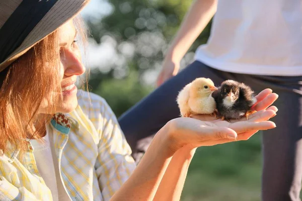 Femme mature en plein air agriculteur tenant dans les mains deux petits poulets nouveau-nés — Photo