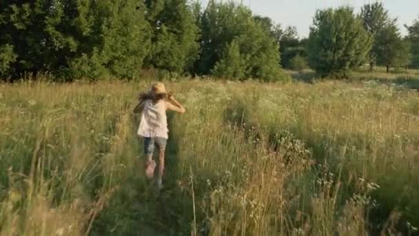 咲く夏の草原 バックビュー 自然の風景 ゴールデンアワーを走る帽子をかぶった小さな女の子 — ストック動画
